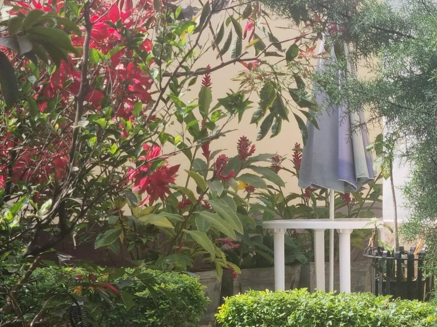 Tout Confort Avec Jardin Entree Bastos Яунде Екстер'єр фото