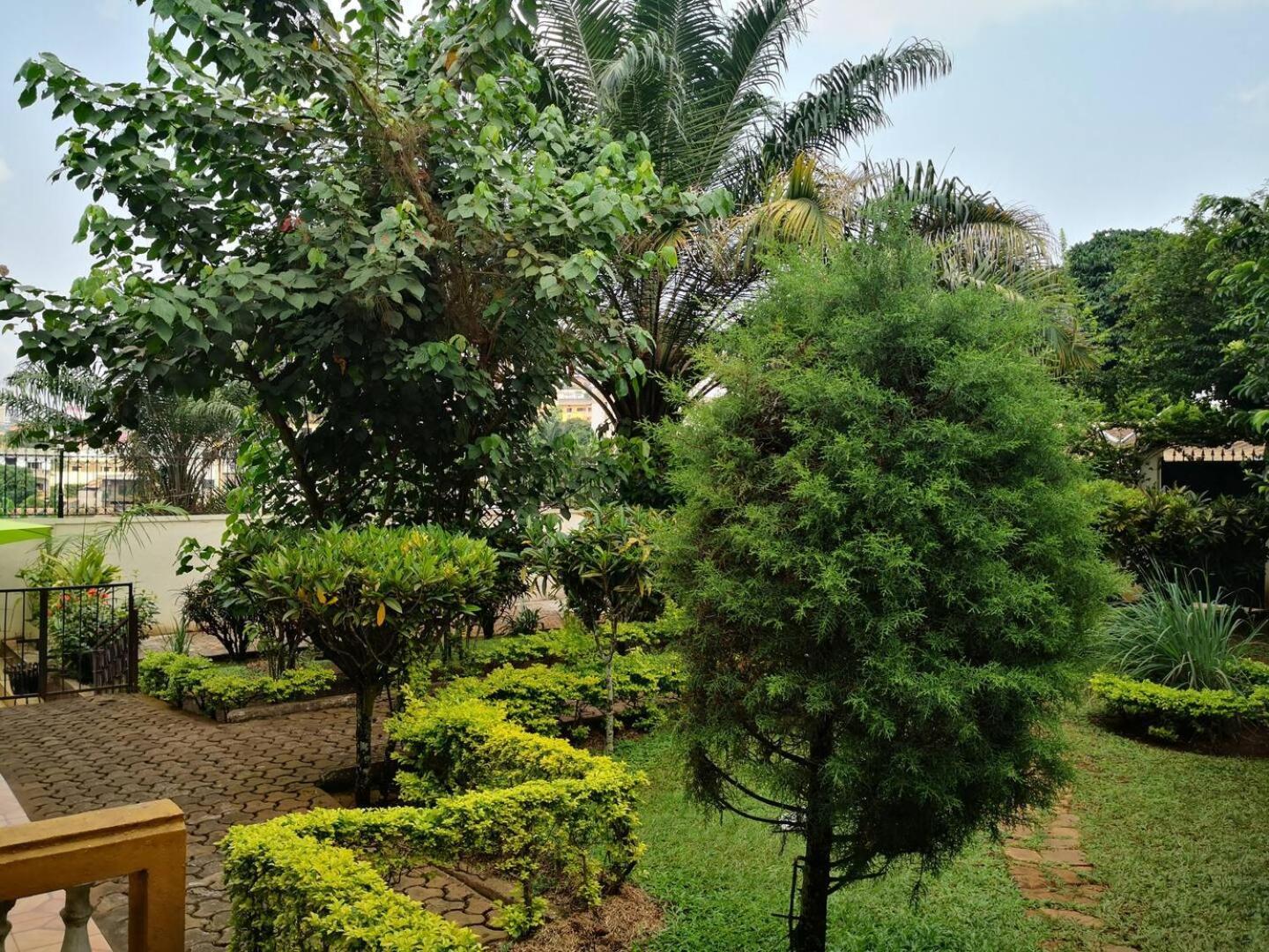 Tout Confort Avec Jardin Entree Bastos Яунде Екстер'єр фото